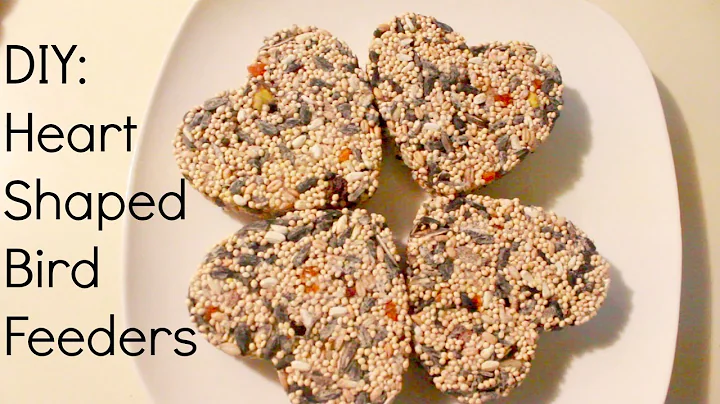 DIY: Bird Feeder