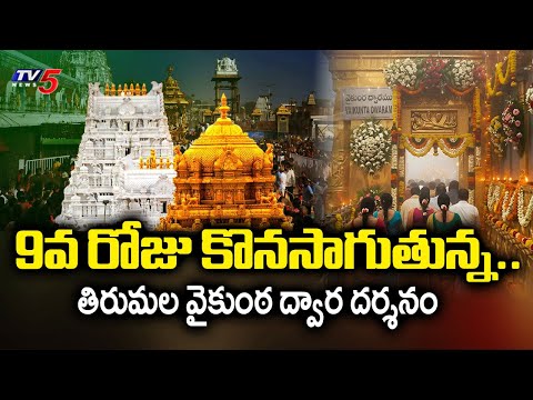 9వ రోజు కొనసాగుతున్న..   Tirumala Vaikunta Dwara Dharsanam Latest | TTD Updates | TV5 News - TV5NEWS