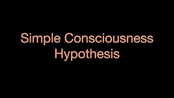 Simple Consciousness Hypothesis