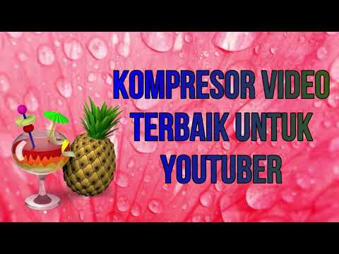 Video: Apa Pengonversi Video Terbaik?