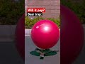 What pops a yoga ball? 🤔
