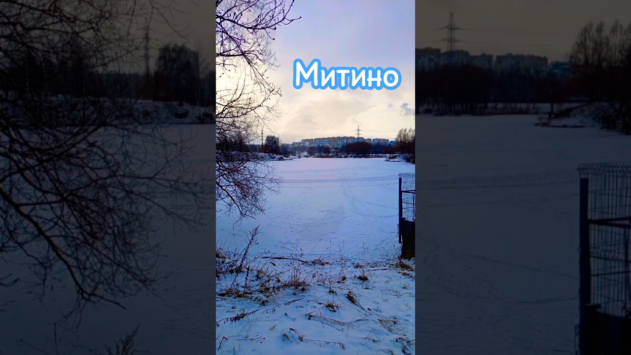 Парк Митино, 