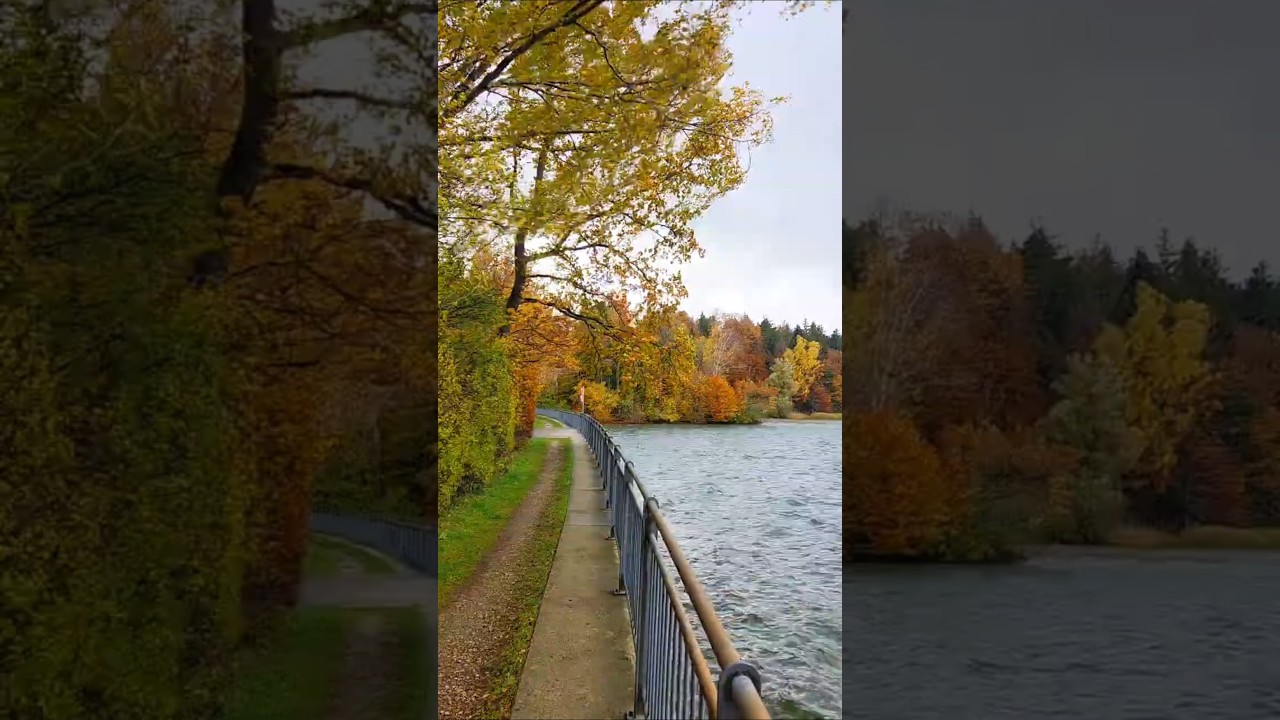 🍂 Windy Autumn Day at the Lake | Colorful Trees, Wind & Waves 🌬️🌊 #nature #lake #autumn #germany