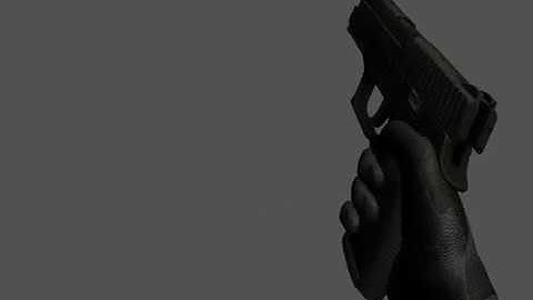 P250 pistol Animation