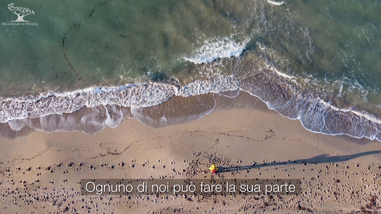 Inquinamento da Plastica. Ognuno di noi può fare la sua parte