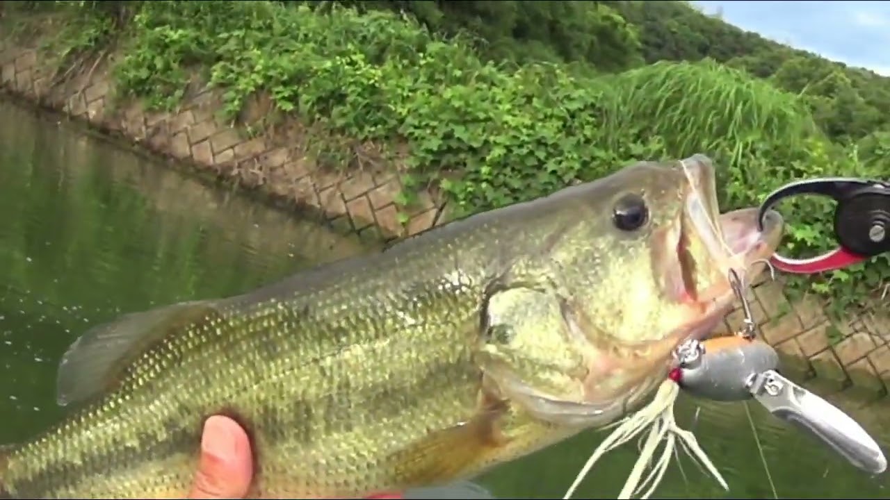 KING OF BAITS 第二弾!!! PROPBUZZ プロップバズPV!!! - YouTube
