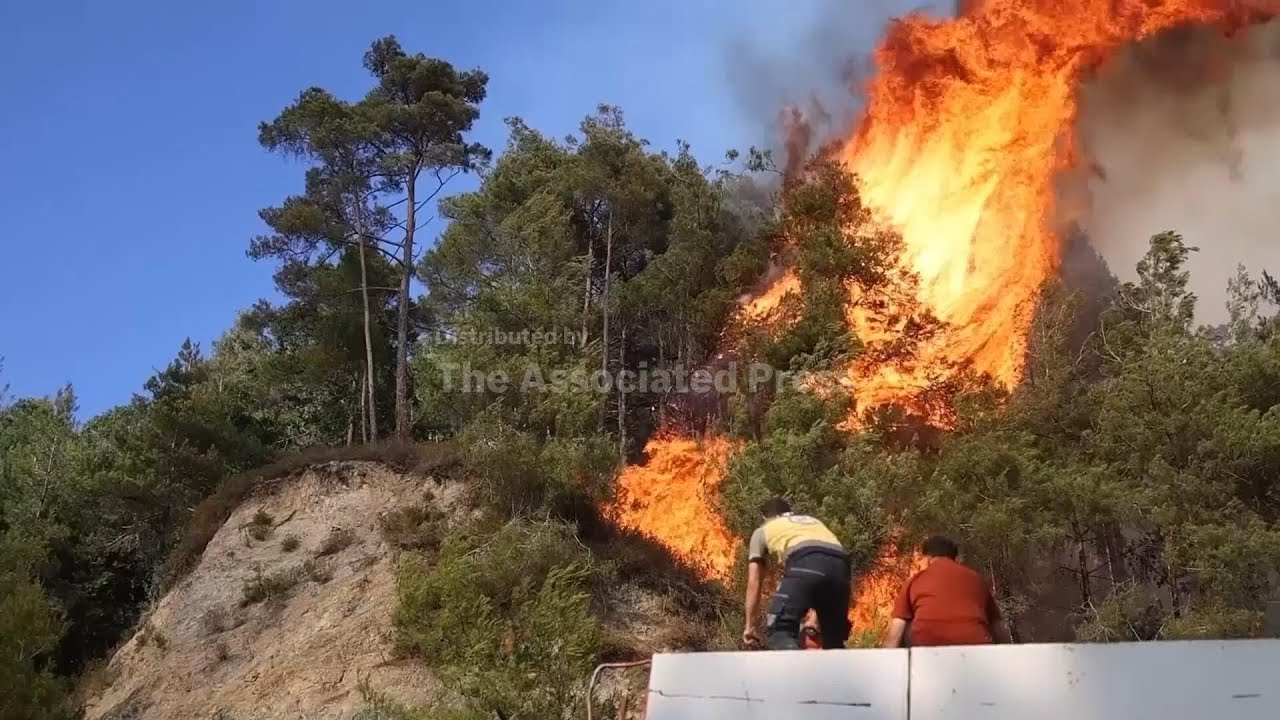 Syrian Civil Defense battles wildfires in Latakia