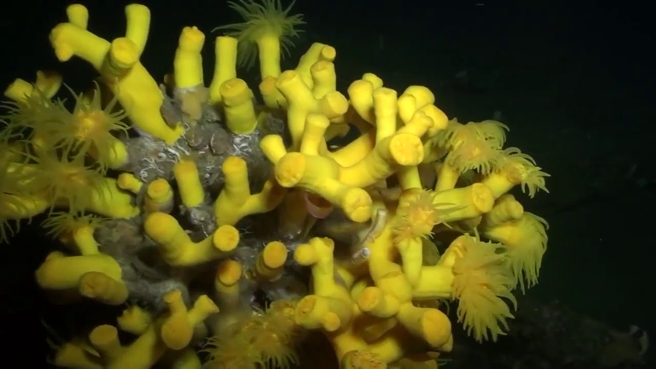 Bellezza della Natura