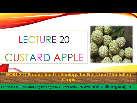 #HORT221 | Lecture 20 Custard Apple | सीता फल