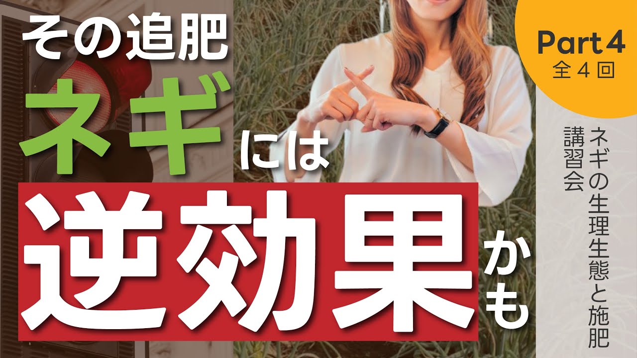 【今すぐやめて！】その追肥、ネギには逆効果かも【生理生態と施肥講習会（4/4）】