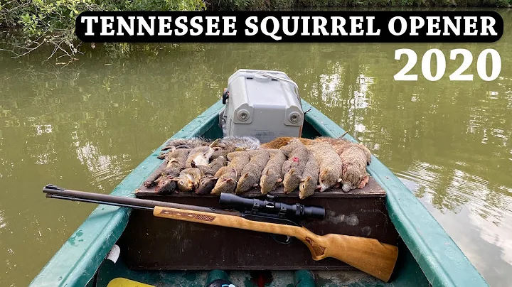 A Limit of Squirrels from the Canoe!