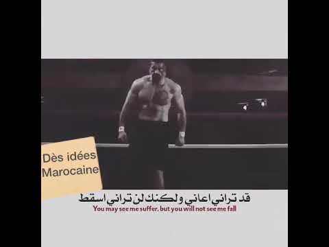 بويكا المقاتل 