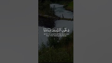 تلاوة هادئة بصوت القارئ عبد الرحمن مسعد | حالات واتس اب قران | هو الذي انزل السكينة في قلوب المؤمنين