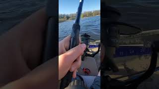 only bass I caught on the buzz bait #fishing #bassfishing #bassbait