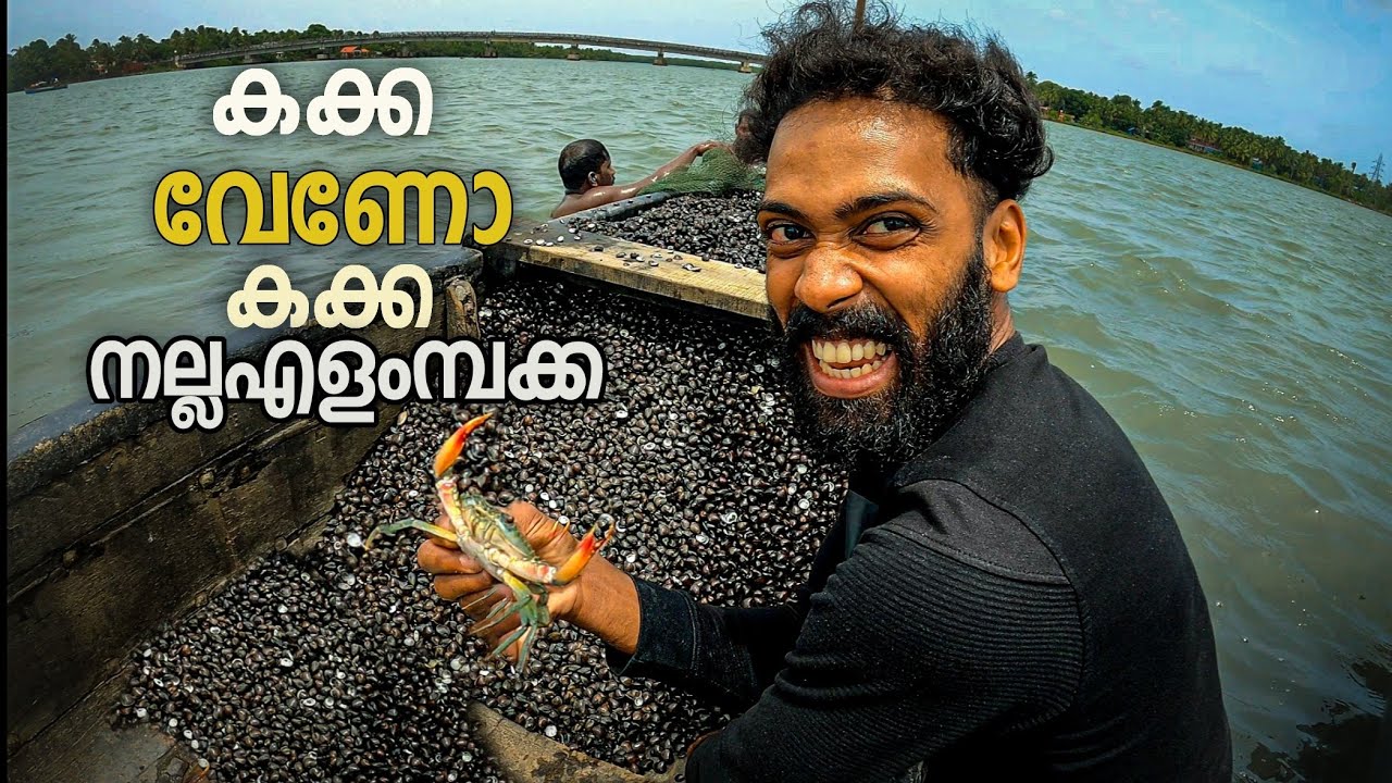 കക്ക വാരിയാലോ|Vadakkan vlog||malayalam vlog channel||rajeesh vadakkan|