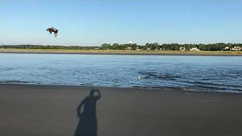 Strand feeding