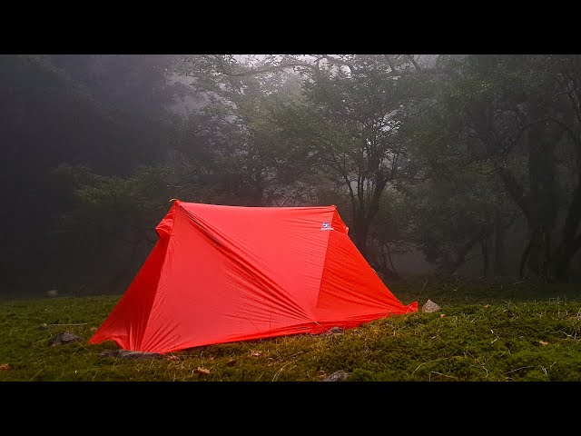 張綱なし】インナーポールでツェルト設営【ペグなし】「2024残暑の安倍