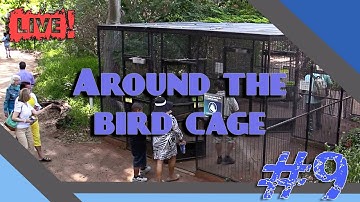Around the Bird Cage - Aviary Area | Building Nublar Section 5/6 | part 9 | Jurassic World Evolution