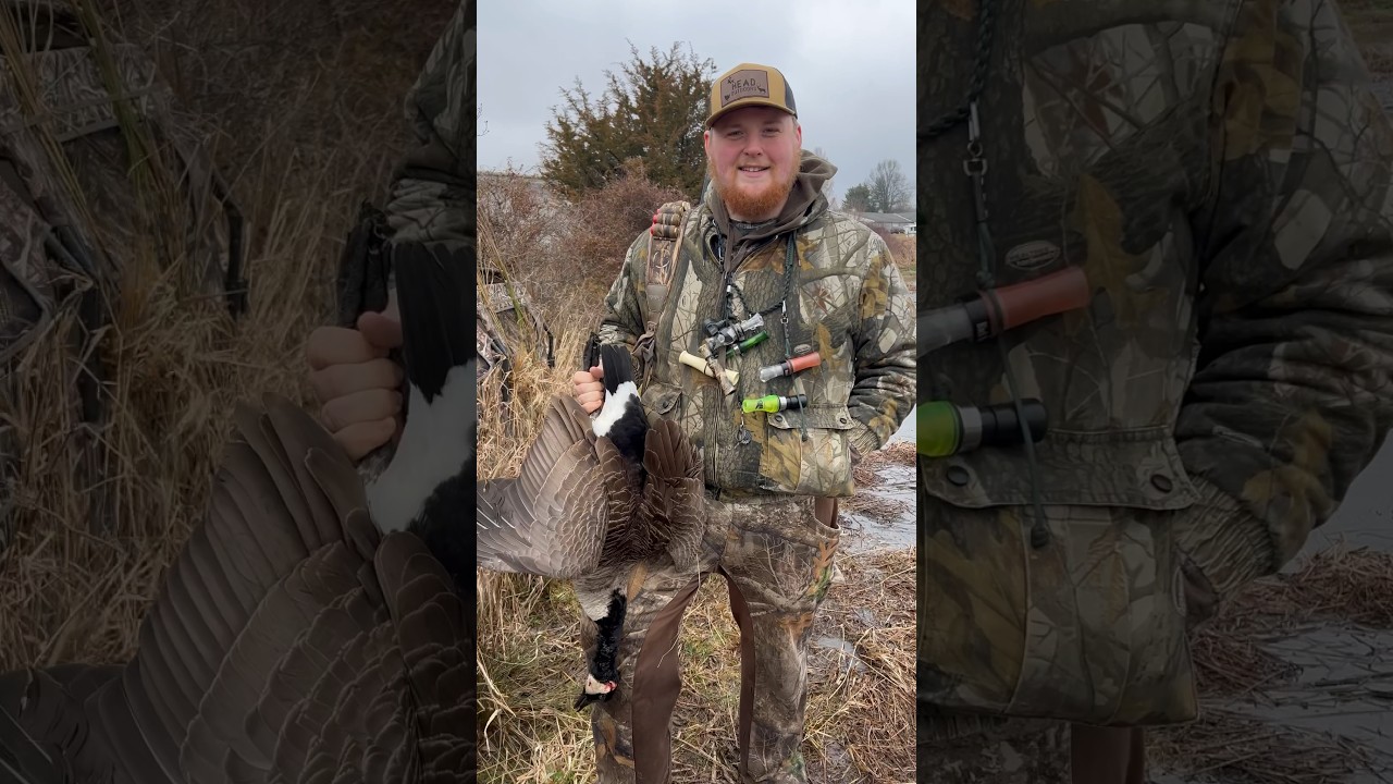 Goose hunting in Pennsylvania