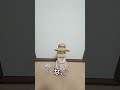 【TikTok配信#5】あのクチバシ-日比谷幸助（小説家）の配信