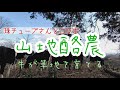 【コラボ企画】山地酪農〜たまの牧へ〜