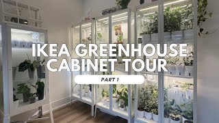 Ikea Greenhouse Cabinet Tour Part 1: Setup Explained + Hoya Collection