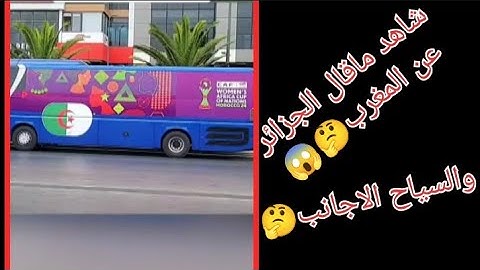 شاهد ماقال السياح الاجانب والجزائر عن المغرب وكرم اهلها🚨