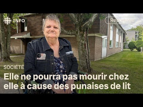 A Saguenay Woman Must Give Up Medical Assistance In Dying At Home Due To Bedbugs 