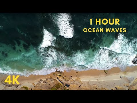 Windansea Beach | 1 Hour of Relaxing Ocean Waves