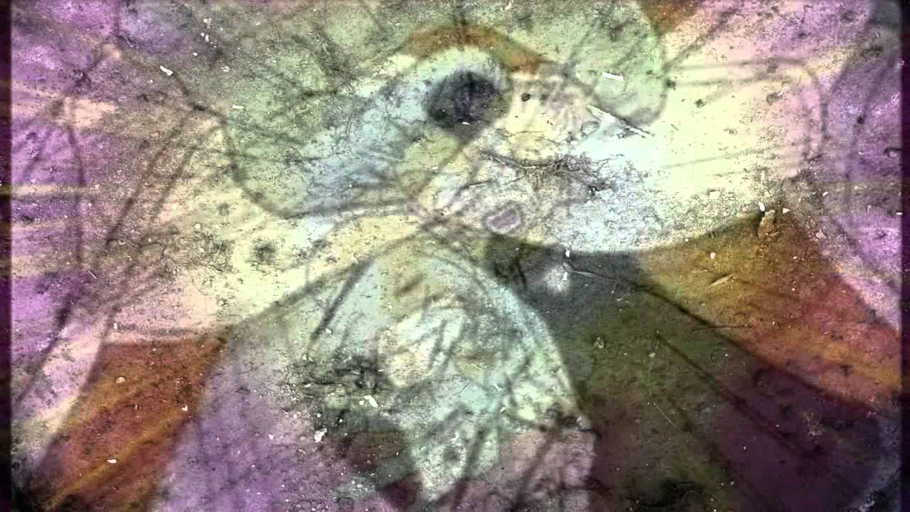 Dragonball z - Snoop Dogg - 'Sweat' Snoop Dogg vs David Guetta Remix