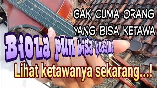 Biolanya VIOLIN NGEKEK