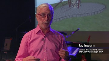Giant Walkthrough Brain with Jay Ingram
