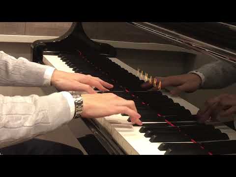 【40才からのピアノ】GetWild イントロのみ