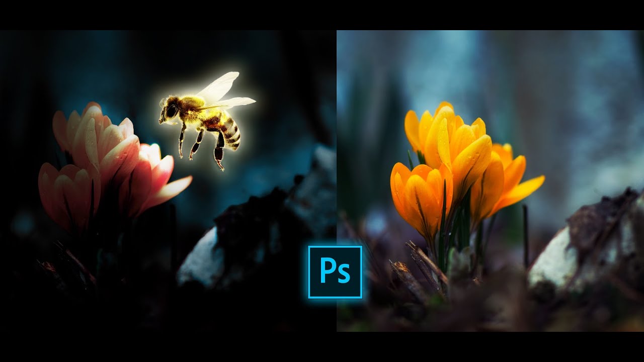 Photoshop arıya ışık efekti nasıl verilir/Bee Flower light effect Pix-Art