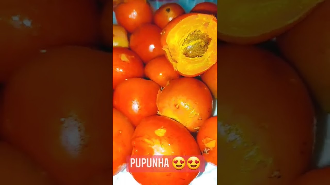 Pupunha 😍😍 Amazônia 🥰 