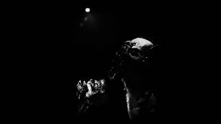 Restive Plaggona - Ismene