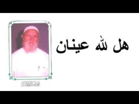 الشيخ الألباني هل لله عينان