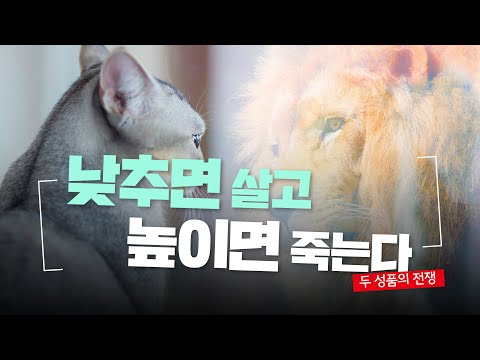 [앤드류 강 예배설교] 낮추면 살고 높이면 죽는다 - 두 성품의 전쟁