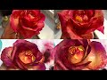 Делаем реалистичные розы из холодного фарфора/мастер класс:как сделать розу из хф/тонировка розы