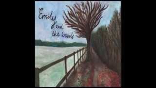 Video thumbnail of "Never Play - Emily & the Woods"