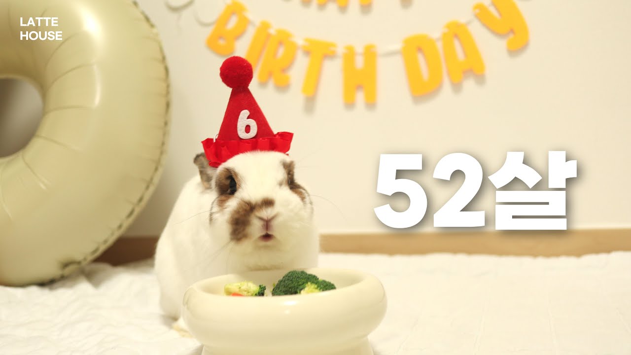 6살 토끼는 52살이다?!