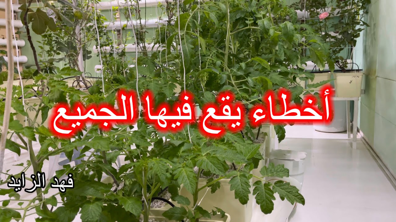 الدرس الرابع اساسيات الزراعة المائية الهيدروبنك.