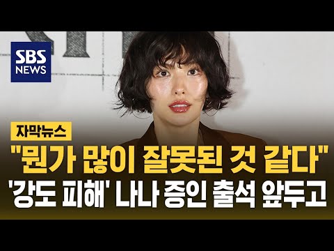 "뭔가 많이 잘못된 것 같다"…강도 피해 나나, 재판 증인 출석 앞두고 올린 글 (자막뉴스) / SBS