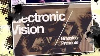 Brassica 'Electronic Vision' - Electro Samples Loops - By Loopmasters