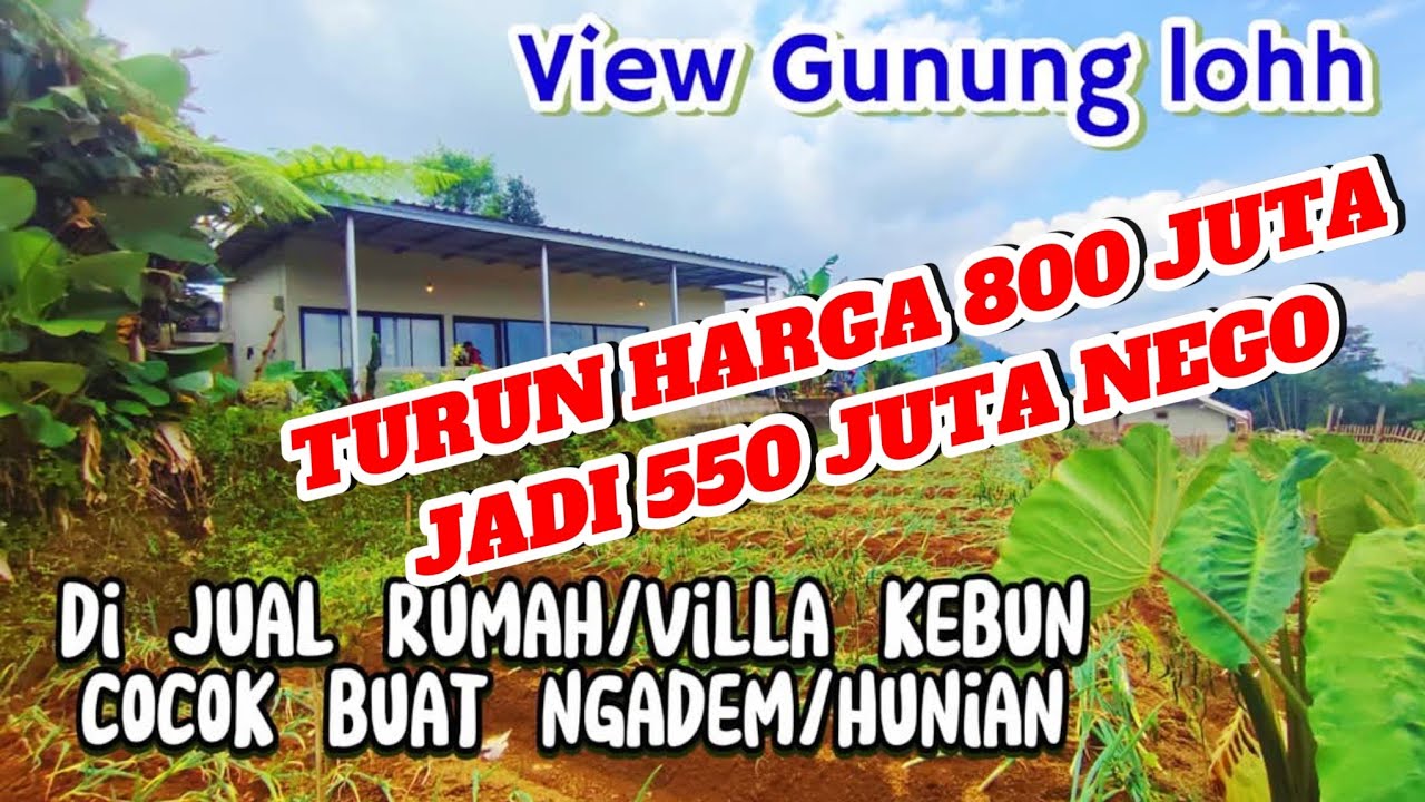 TURUN HARGA DARI 800 JUTA JADI 550 JUTA NEGO LUAS 750 METER. RUMAH LIVING KEBUN.