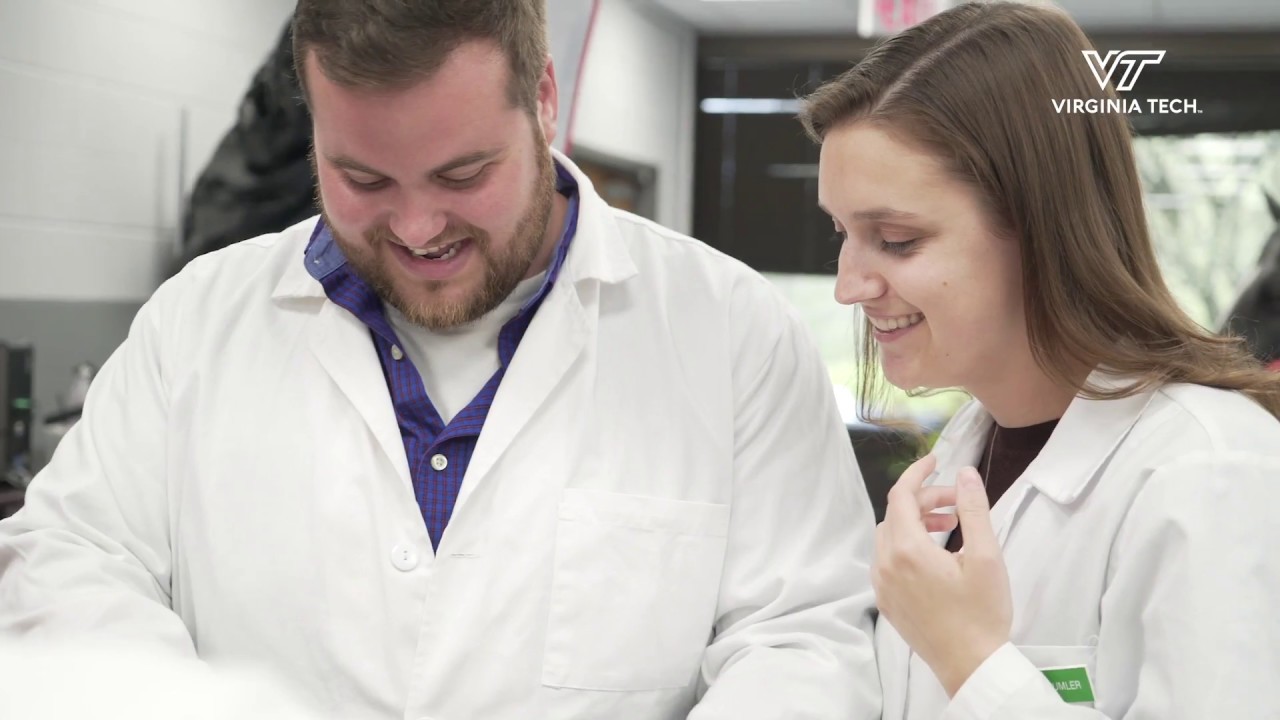 Team learning in the DVM program - YouTube