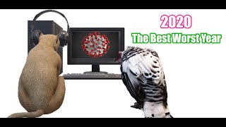 The Best Worst Year Ever: A Retrospective on 2020
