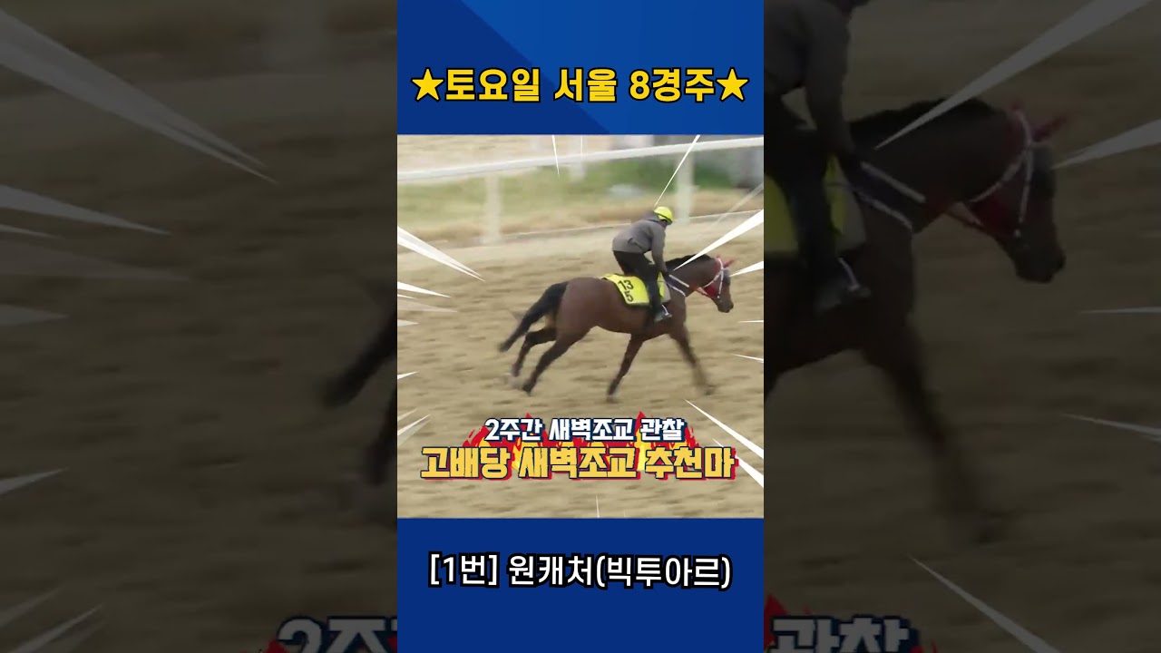 4월25일 토요일 서울 8경주!! 2주간 훈련보인 강백호의 새벽조교 쏘스마!!