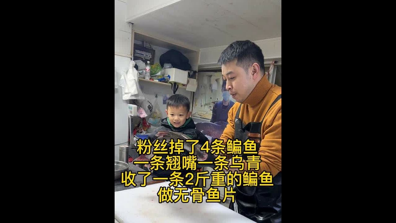 粉丝掉了4条鳊鱼一条翘嘴一条乌青！收了一条乌青和鳊鱼做无骨鱼片#杀鱼技术 #刀工