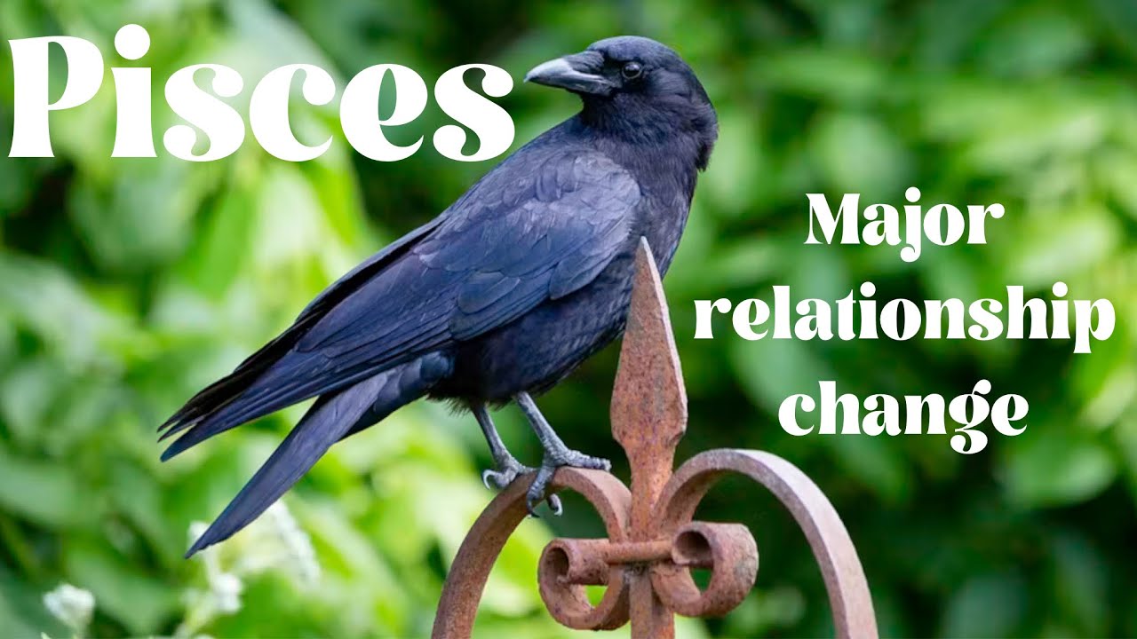 Pisces 💖💖 someone comes through at an event or on an holiday… could be new or a friend or sp 💖💖